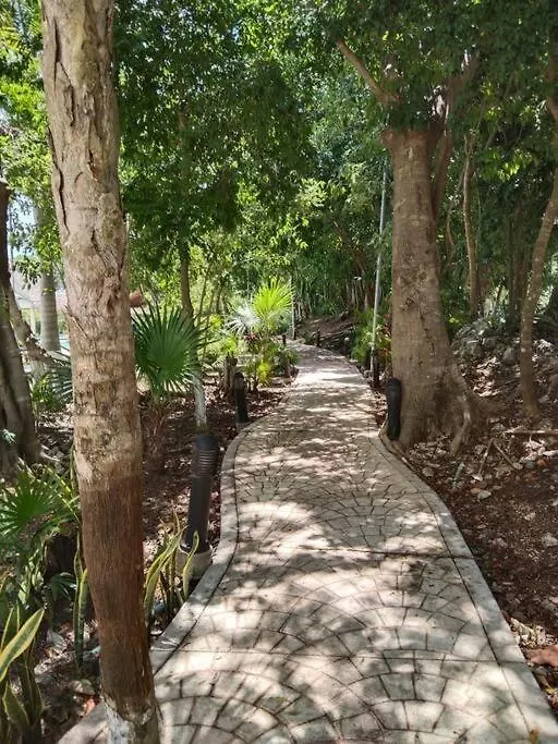 Apartamento Hermoso Departamento En Cancun Con Alberca 0*,