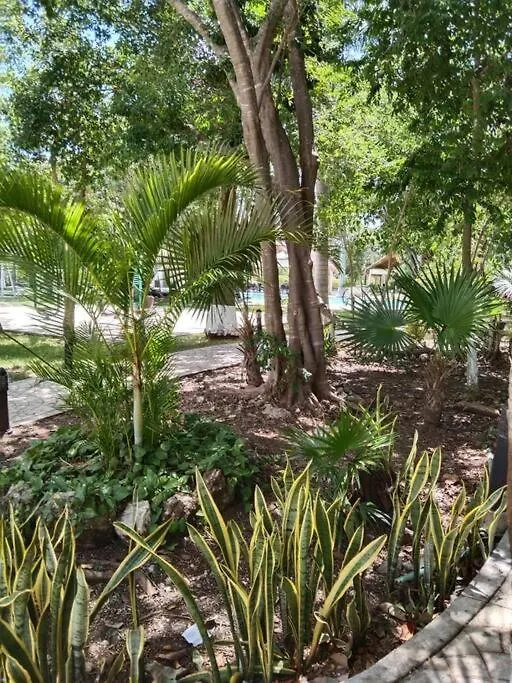 Apartamento Hermoso Departamento En Cancun Con Alberca